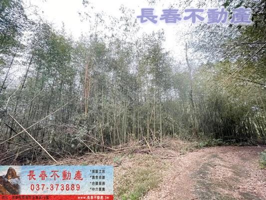 苗栗銅鑼農地-3