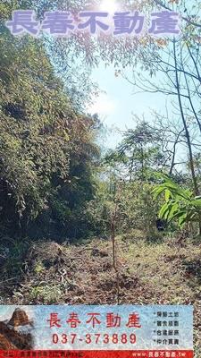 苗栗銅鑼農地-4