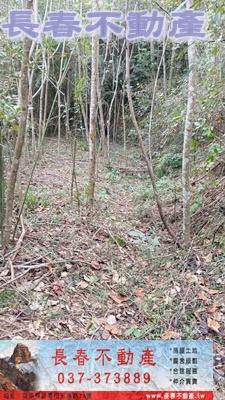 苗栗銅鑼農地-5