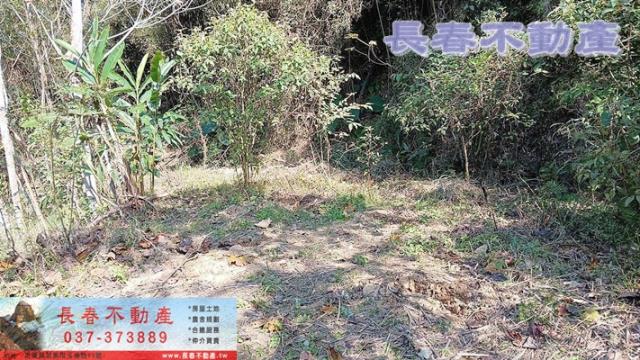 苗栗銅鑼農地-0