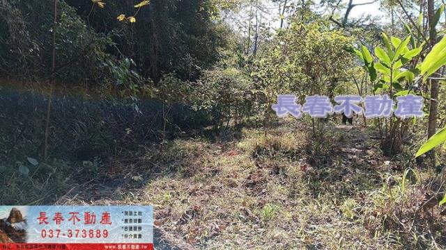 苗栗銅鑼農地-1