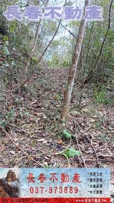 苗栗銅鑼農地-3