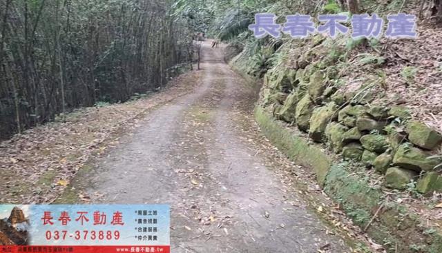 苗栗銅鑼農地-5