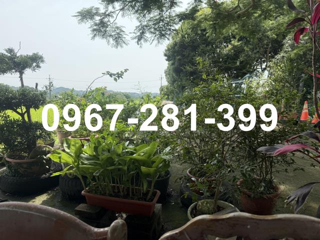 苗栗三灣農地-9