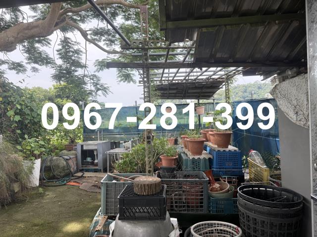 苗栗三灣農地-10