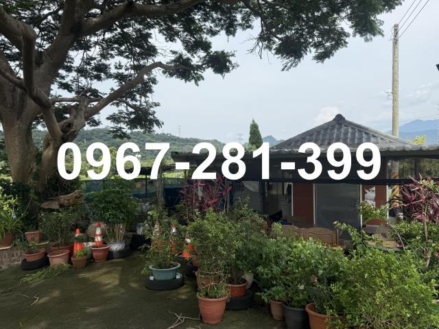 苗栗三灣農地-0