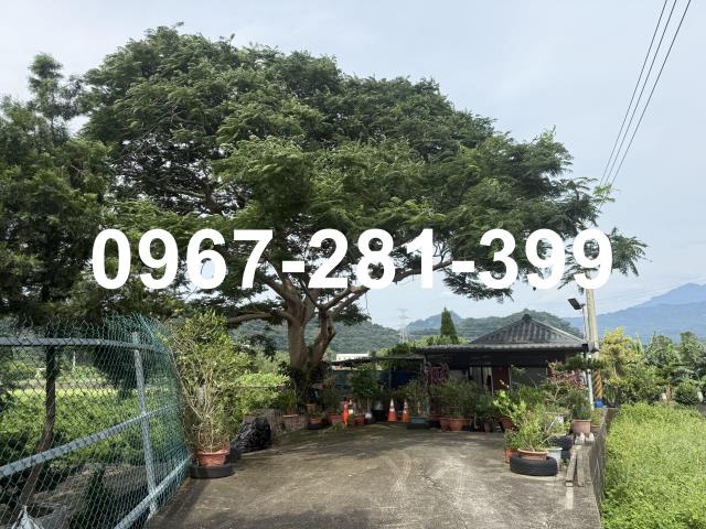 苗栗三灣農地-2