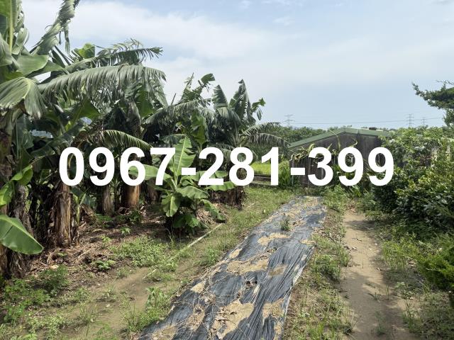 苗栗三灣農地-4