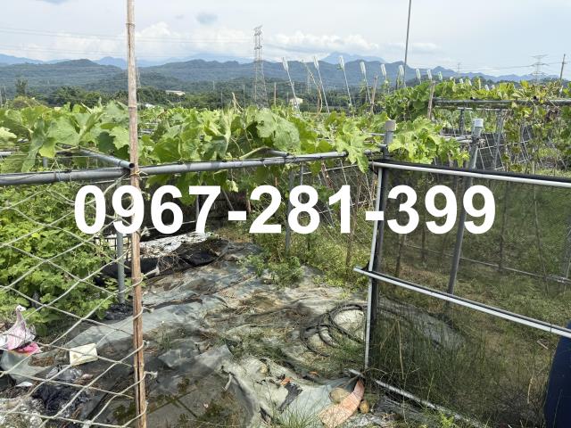 苗栗三灣農地-6