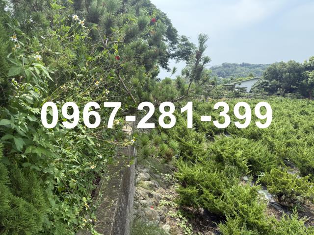 苗栗三灣農地-7