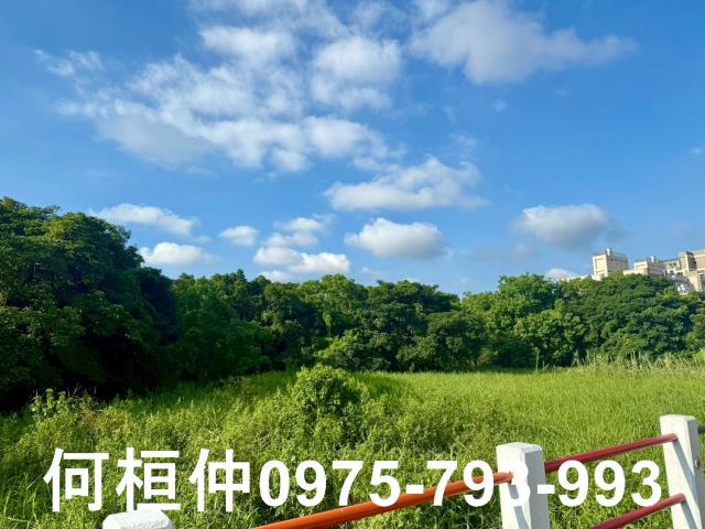 苗栗竹南農地-10