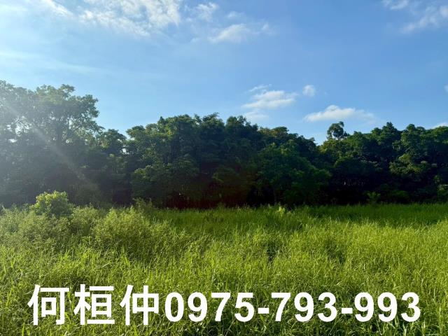 苗栗竹南農地-11