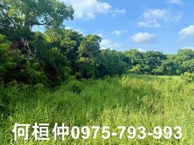 苗栗竹南農地-5