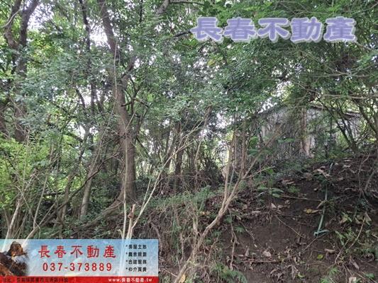 苗栗頭屋農地-1