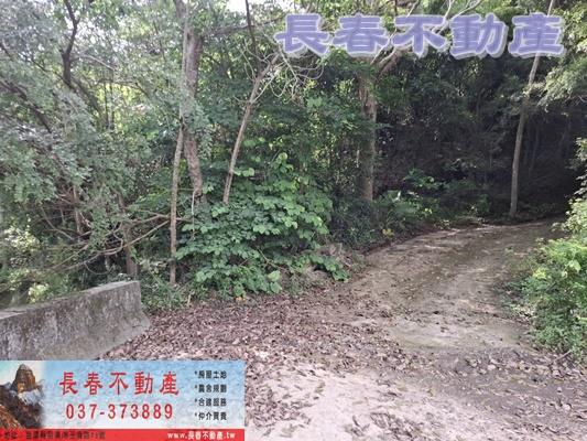 苗栗頭屋農地-3