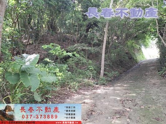 苗栗頭屋農地-4