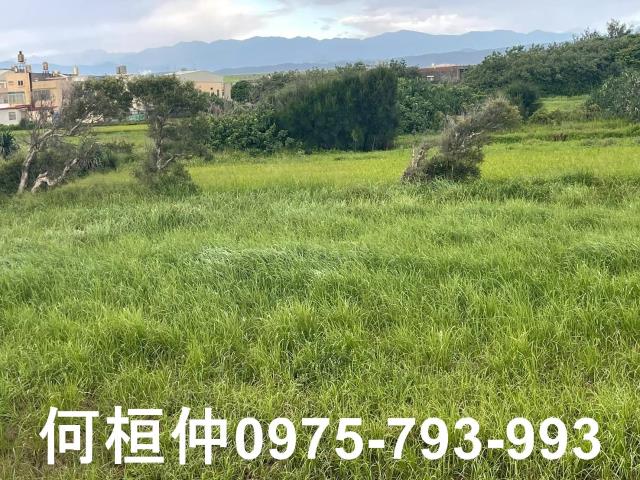 苗栗苑裡農地-2