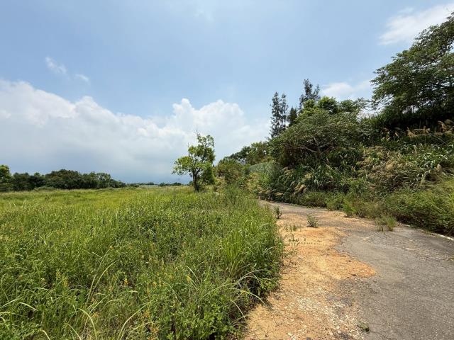 苗栗建地-10