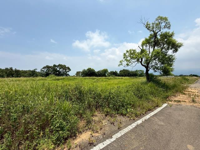 苗栗建地-12