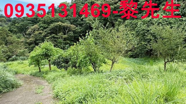 苗栗南庄農地-11