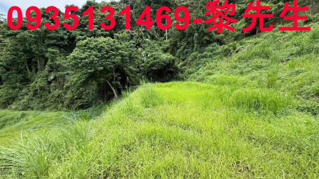 苗栗南庄農地-14