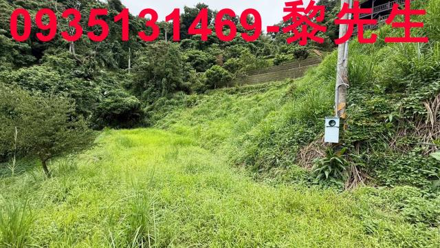 苗栗南庄農地-6