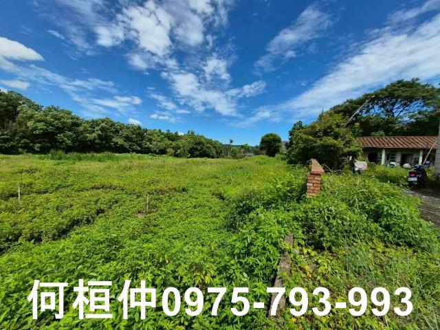銅鑼農地-4