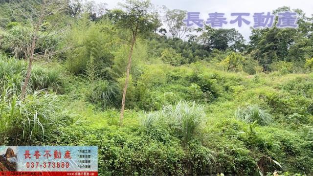 苗栗獅潭農地-0