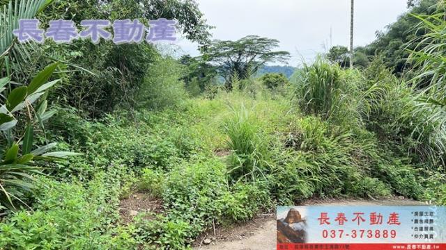 苗栗獅潭農地-1