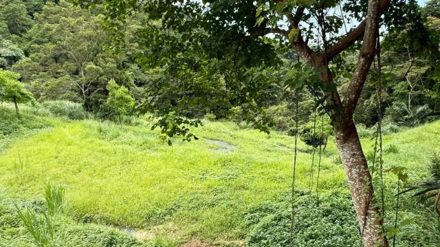 苗栗南庄農地-9