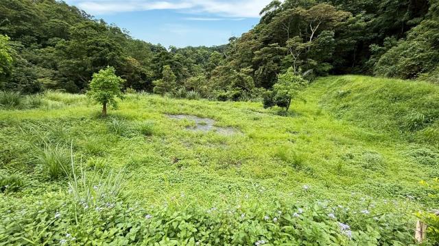 苗栗南庄農地-11