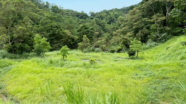 苗栗南庄農地-12