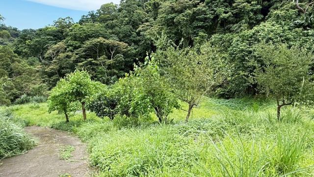 苗栗南庄農地-13