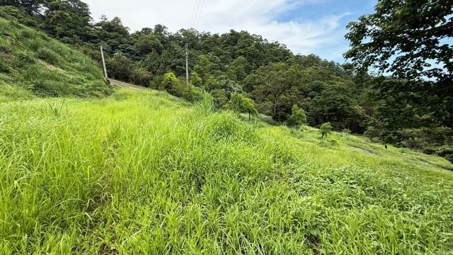 苗栗南庄農地-14