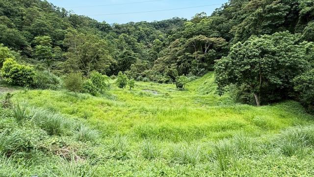 苗栗南庄農地-2