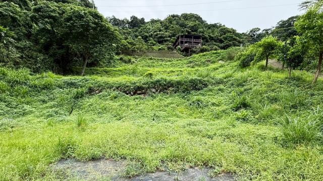 苗栗南庄農地-3