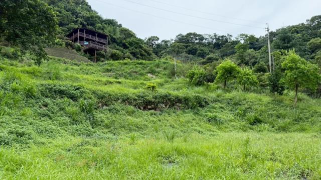 苗栗南庄農地-4