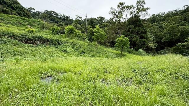 苗栗南庄農地-5