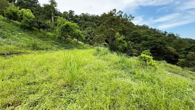 苗栗南庄農地-6