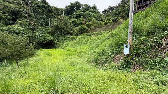 苗栗南庄農地-7