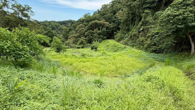 苗栗南庄農地-8