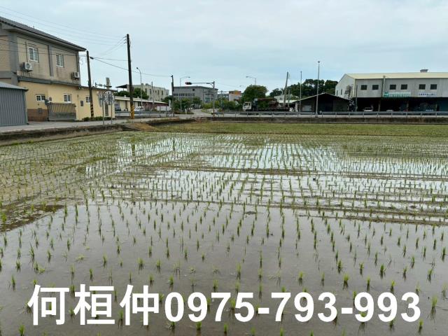 苗栗後龍農地-1