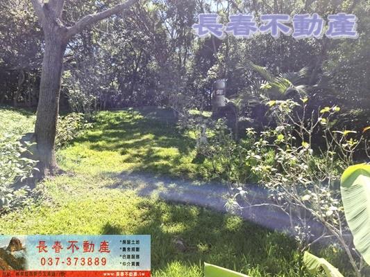 苗栗造橋農地-9