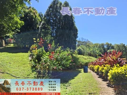 苗栗造橋農地-11