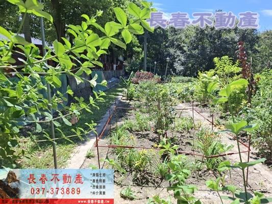 苗栗造橋農地-12