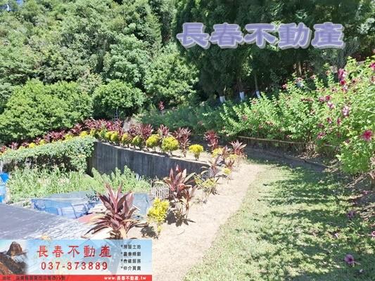 苗栗造橋農地-6