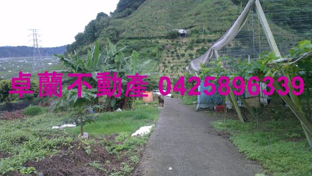 苗栗卓蘭農地-10