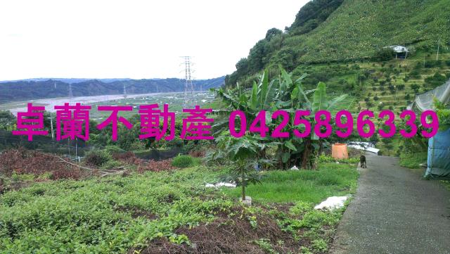 苗栗卓蘭農地-11