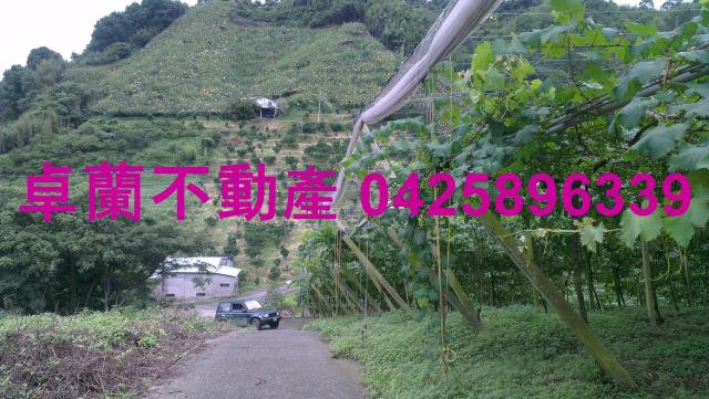 苗栗卓蘭農地-4