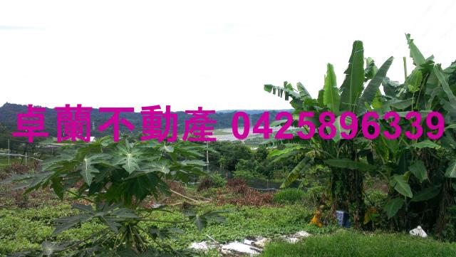 苗栗卓蘭農地-6